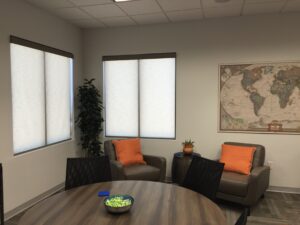 Window Shades in Tampa Bay: The Ultimate Guide