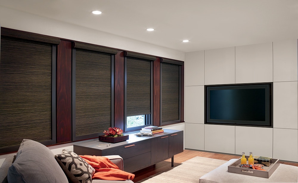 Living room with blackout shades blocking most natural light.