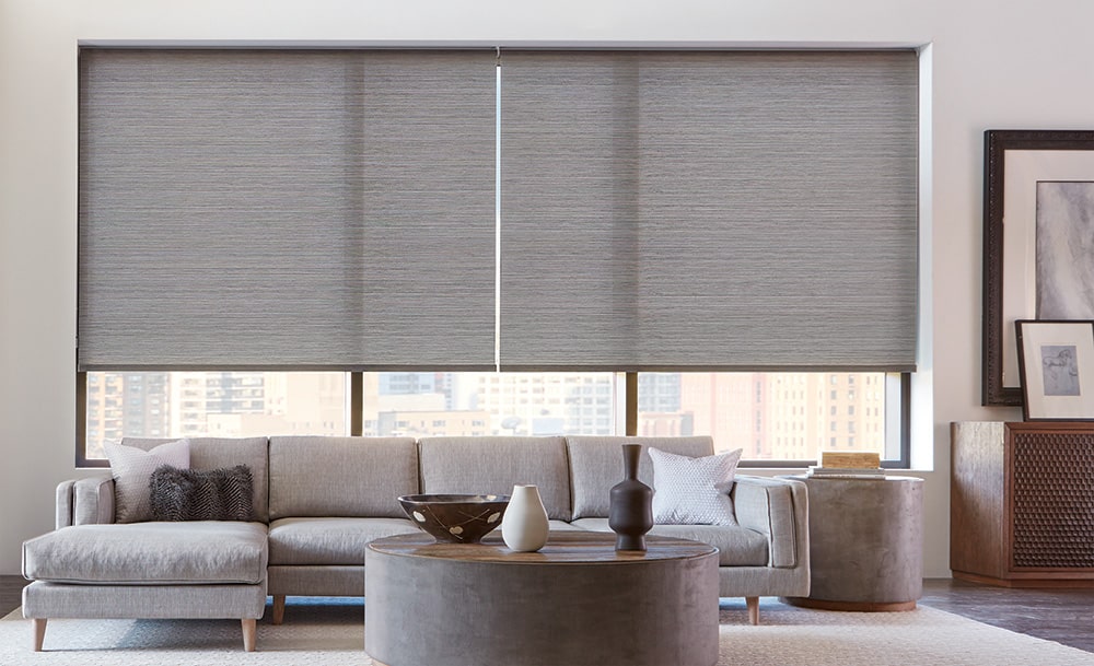 Roller Shades filtering in natural light in a stunning modern living room.